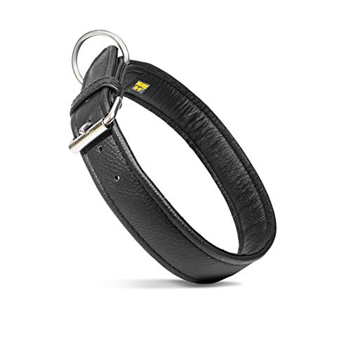 Julius-K9 40083-75 Öko Lederhalsband, 4 cm x 75 cm, handgenäht von JULIUS K-9