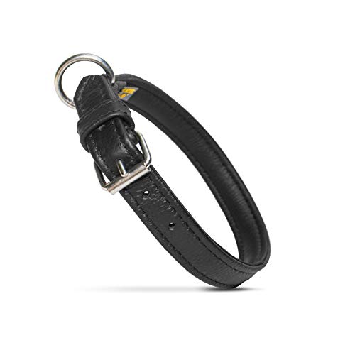 Julius-K9 40083-80 Öko Lederhalsband, 4 cm x 80 cm, handgenäht Julius-K9 40083-80 Öko Lederhalsband, 4 cm x 80 cm, handgenäht von JULIUS K-9