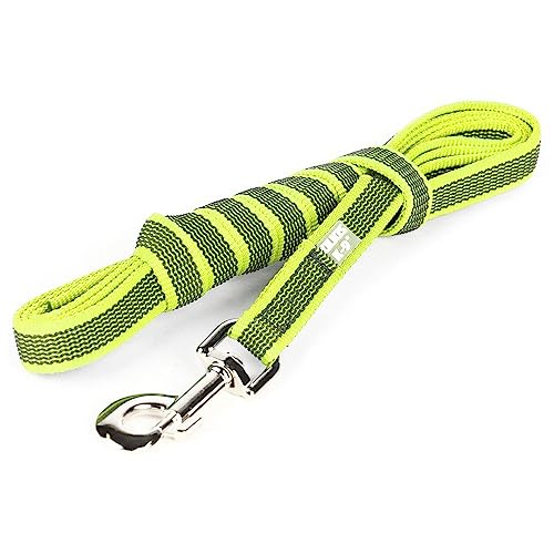 Julius-K9 Color & Gray Super-Grip-Leine mit Griff, 20 mm x 3 m, Neongrau Julius-K9 Color & Gray Super-Grip-Leine mit Griff, 20 mm x 3 m, Neongrau von JULIUS K-9