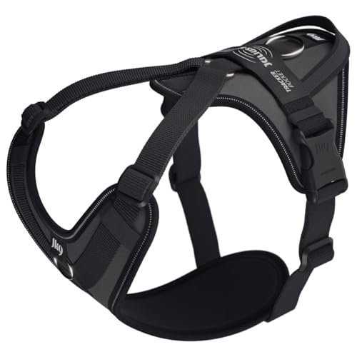 Julius-K9 Hundegeschirr Y-jk9®GO einfach mit Ring zu befestigen + Griff, mittel, anthrazit von JULIUS K-9