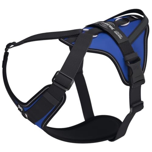 Julius-K9 Hundegeschirr in Y-Form, einfach mit Ring zu befestigen + Griff, 2 XL, Blau Julius-K9 Hundegeschirr in Y-Form, einfach mit Ring zu befestigen + Griff, 2 XL, Blau von JULIUS K-9