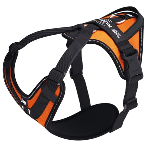 Julius-K9 Hundegeschirr in Y-Form, einfach mit Ring zu befestigen + Griff, Medium, Neonorange Julius-K9 Hundegeschirr in Y-Form, einfach mit Ring zu befestigen + Griff, Medium, Neonorange von JULIUS K-9