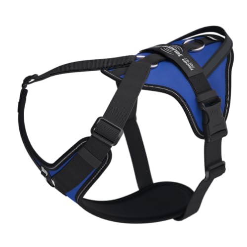 Julius-K9 Hundegeschirr in Y-Form, einfach mit Ring zu befestigen + Griff, XL, Blau Julius-K9 Hundegeschirr in Y-Form, einfach mit Ring zu befestigen + Griff, XL, Blau von JULIUS K-9