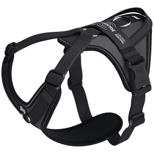 Julius-K9 Hundegeschirr in Y-Form, einfach mit Ring zu befestigen + Griff, klein, Anthrazit Julius-K9 Hundegeschirr in Y-Form, einfach mit Ring zu befestigen + Griff, klein, Anthrazit von JULIUS K-9