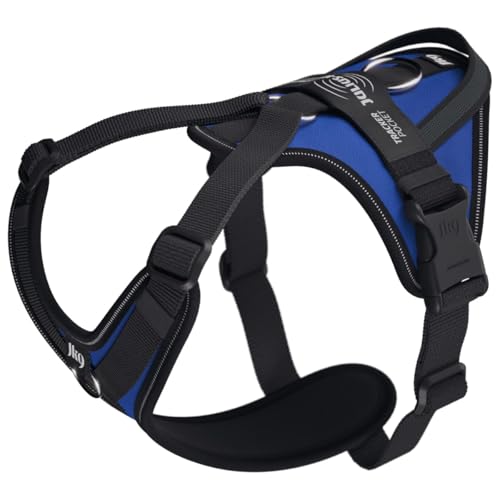 Julius-K9 Hundegeschirr in Y-Form, einfach mit Ring zu befestigen + Griff, klein, Blau Julius-K9 Hundegeschirr in Y-Form, einfach mit Ring zu befestigen + Griff, klein, Blau von JULIUS K-9