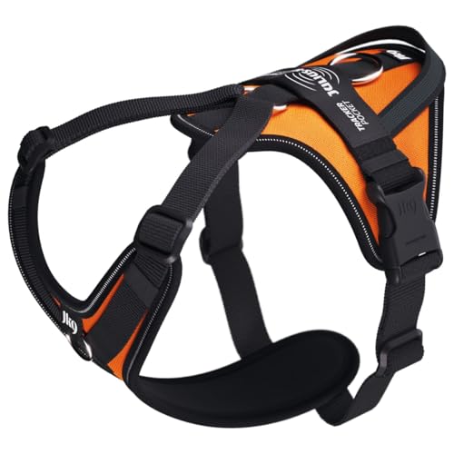 Julius-K9 Hundegeschirr in Y-Form, einfach mit Ring zu befestigen + Griff, klein, Neonorange Julius-K9 Hundegeschirr in Y-Form, einfach mit Ring zu befestigen + Griff, klein, Neonorange von JULIUS K-9