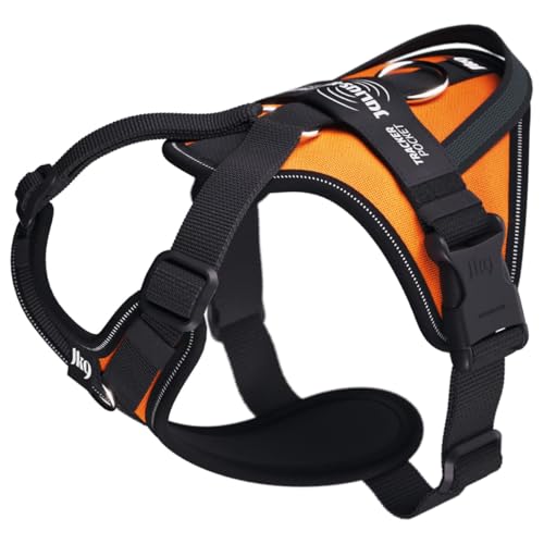 Julius-K9 Hundegeschirr in Y-Form, einfach mit Ring zu befestigen + Griff XSMALL Neonorange Julius-K9 Hundegeschirr in Y-Form, einfach mit Ring zu befestigen + Griff XSMALL Neonorange von JULIUS K-9