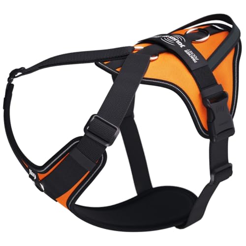 Julius-K9 Hundegeschirr in Y-Form, einfach mit Ring zu befestigen + XLARGE Griff, Neonorange Julius-K9 Hundegeschirr in Y-Form, einfach mit Ring zu befestigen + XLARGE Griff, Neonorange von JULIUS K-9