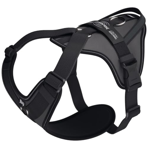 Julius-K9 Hundegeschirr in Y-Form, einfach mit Ring zu befestigen + breiter Griff, Anthrazit Julius-K9 Hundegeschirr in Y-Form, einfach mit Ring zu befestigen + breiter Griff, Anthrazit von JULIUS K-9