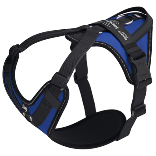 Julius-K9 Hundegeschirr in Y-Form Jk9®GO einfach mit Ring zu befestigen + Griff Medium Blau von JULIUS K-9