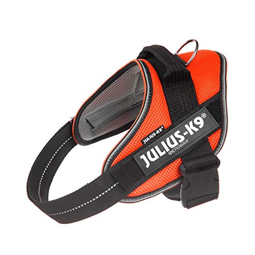 Julius-K9, IDC Powair Hundegeschirr, Größe: M / 0, Orange Julius-K9, IDC Powair Hundegeschirr, Größe: M / 0, Orange von JULIUS K-9
