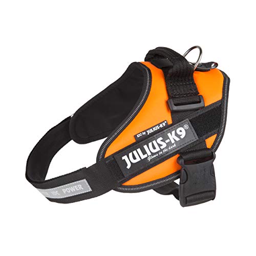 Julius-K9 IDC PowerHarness für Hunde mit zwei Patches, UV Orange, Größe 0 Julius-K9 IDC PowerHarness für Hunde mit zwei Patches, UV Orange, Größe 0 von JULIUS K-9