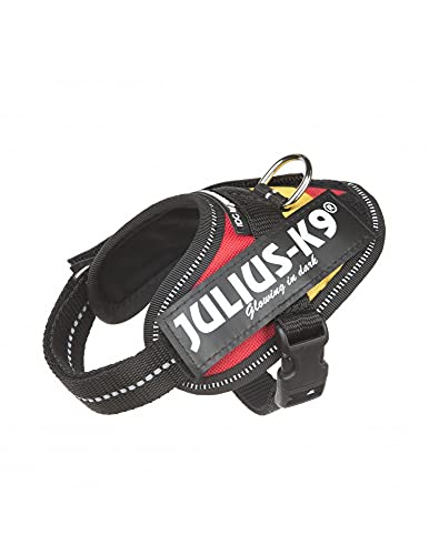 Julius-K9, IDC Powergeschirr, Größe: 3XS/Baby 1, Spanische Farben Julius-K9, IDC Powergeschirr, Größe: 3XS/Baby 1, Spanische Farben von JULIUS K-9
