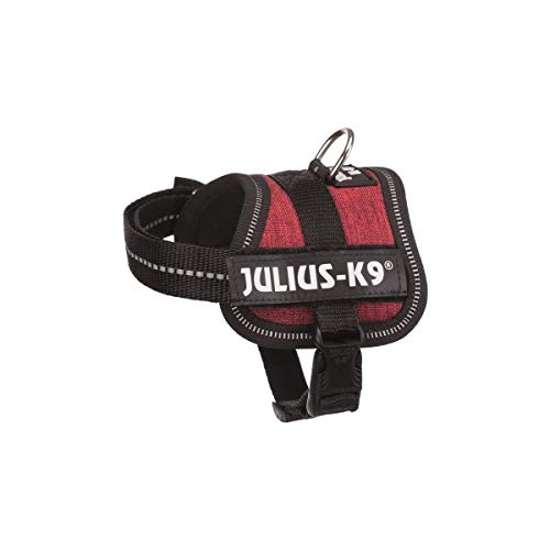K9 Powergeschirr, Größe: 3XS/Baby 1, Burgundy Sackstoff K9 Powergeschirr, Größe: 3XS/Baby 1, Burgundy Sackstoff von JULIUS K-9