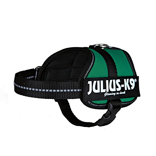 K9 Powergeschirr, Größe: L/1, Dunkelgrün K9 Powergeschirr, Größe: L/1, Dunkelgrün von JULIUS K-9