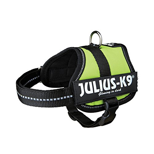 K9 Powergeschirr, Größe: M/0, Kiwi K9 Powergeschirr, Größe: M/0, Kiwi von JULIUS K-9