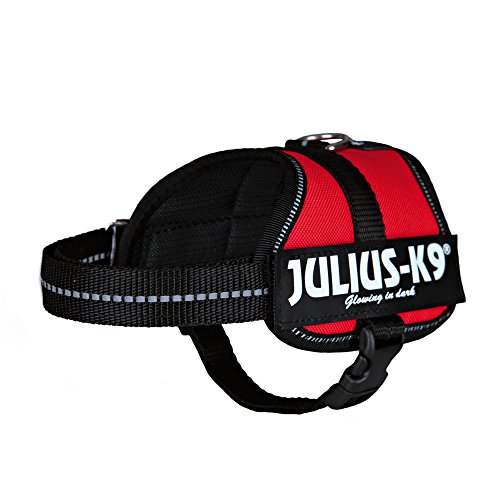 K9 Powergeschirr, Größe: M/0, Rot K9 Powergeschirr, Größe: M/0, Rot von JULIUS K-9