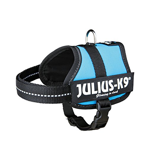 K9 Powergeschirr, Größe: XS/Mini-Mini, Aquamarine K9 Powergeschirr, Größe: XS/Mini-Mini, Aquamarine von JULIUS K-9