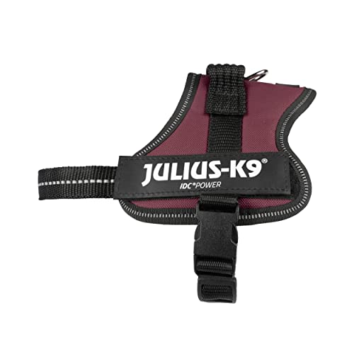 K9 Powergeschirr, Größe: XS/Mini-Mini, Bordeaux K9 Powergeschirr, Größe: XS/Mini-Mini, Bordeaux von JULIUS K-9