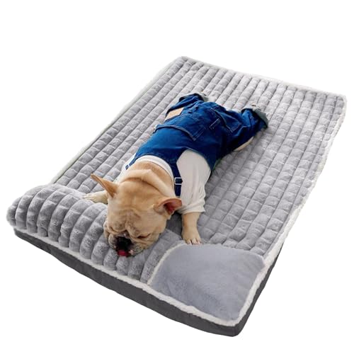 JUMI Haustierbett Grau 100x70 cm – Rechteckiges Kuschelbett, Schlafplatz für Katzen und Hunde von JUMI