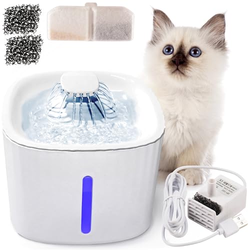 Trinknapf Stiller Wasserbrunnen für Hunde Katzen Tiere Trinknapf Stiller Wasserbrunnen für Hunde Katzen Tiere von JUMI