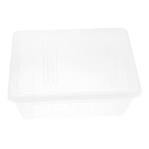 JUMPLAWN 1 Stück Karton Aufzuchtbox für Insekten Reptilien zubehör Spinnen Box Schildkrötentisch Gecko-Essen gehäuse Zuchtbecken aus Kunststoff Reptilienzuchtkäfig aus Kunststoff Plastik JUMPLAWN 1 Stück Karton Aufzuchtbox für Insekten Reptilien zubehör Spinnen Box Schildkrötentisch Gecko-Essen gehäuse Zuchtbecken aus Kunststoff Reptilienzuchtkäfig aus Kunststoff Plastik von JUMPLAWN