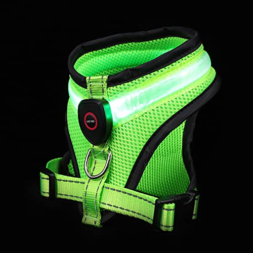 JUMPLAWN LED Hundeweste Reflektierende Leuchtweste für Hunde USB Aufladbar Atmungsaktive Hundebekleidung für Nachtspaziergänge Einfache Handhabung Sicheres Design JUMPLAWN LED Hundeweste Reflektierende Leuchtweste für Hunde USB Aufladbar Atmungsaktive Hundebekleidung für Nachtspaziergänge Einfache Handhabung Sicheres Design von JUMPLAWN