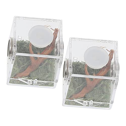 JUMPLAWN Spinnenhabitatbox Für Zucht Von Springspinnen 2 Stück Transparentes Kunststoffterrarium Leicht Und Tragbar Für Kleine Haustiere Und Reptilien JUMPLAWN Spinnenhabitatbox Für Zucht Von Springspinnen 2 Stück Transparentes Kunststoffterrarium Leicht Und Tragbar Für Kleine Haustiere Und Reptilien von JUMPLAWN