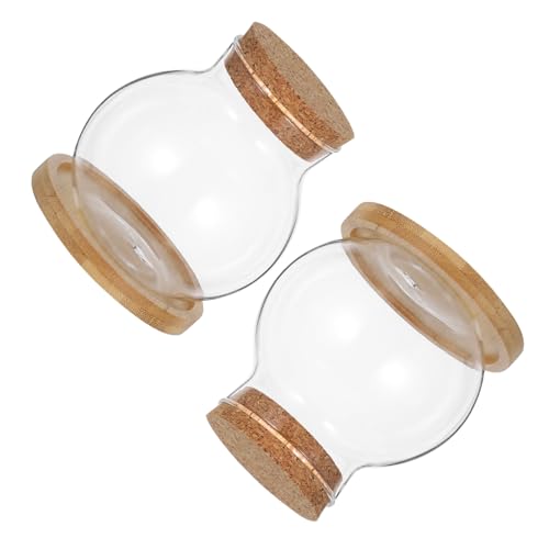 JUMPLAWN 2Satz Wasserpflanzgefäße Bambustablett Hydrokultur Terrarium für Schreibtisch Dekoration Langlebig Transparent für Zuhause und Büro von JUMPLAWN