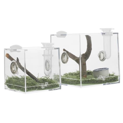 JUMPLAWN 2Stücke Springspinnen Zuchtbox Transparent Insekten Habitatbox mit Belüftungslöchern für Geckos Skorpione Grillen und Kleine Reptilien von JUMPLAWN