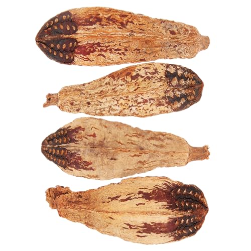 JUMPLAWN 4stücke Pack Vogelspielzeug Zum Kauen Futtersuchspielzeug Für Papageien Kleine Vögel Sittich Spielzeug Aus Naturmaterialien Für Käfig von JUMPLAWN