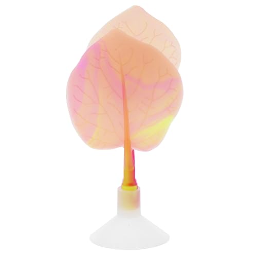 JUMPLAWN Betta Ruheplatz Hängematte aus Doppelschichtige für Aquarien Sicherer Rückzugsort und Laichplatz für Betta Fische Einfache Installation und Pflege Kompatibel mit Aquarientypen von JUMPLAWN