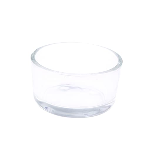 JUMPLAWN Glasfutterschale für Reptilien Futterschale aus Hochwertigem Kristallglas für Eidechsen Spinnen und Aquarien Glänzend Langlebig Terrarien von JUMPLAWN
