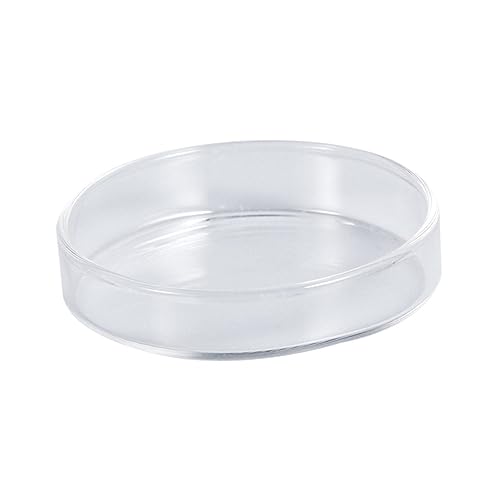 JUMPLAWN Glasgarnelen Futterschale Futterschüssel Für Garnelen Und Kleine Fische Fütterungslösung Für Aquarien Und Zierfische von JUMPLAWN
