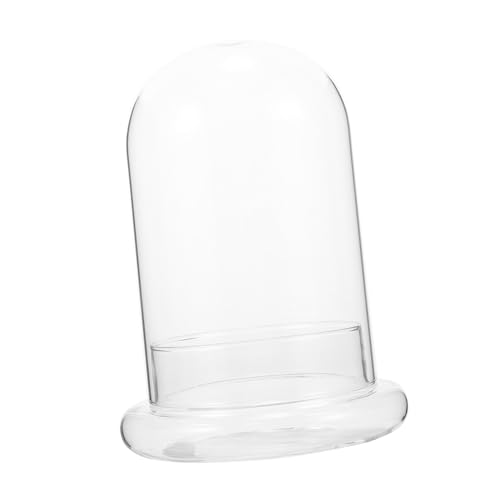 JUMPLAWN Glasglocke für Pflanzen Dekoratives Pflanzenterrarium Transparente Kuppelglocke für Mikro Landschaften Kreative Glasvase für Zimmer und Büroschmuck Langlebiges und Leichtes JUMPLAWN Glasglocke für Pflanzen Dekoratives Pflanzenterrarium Transparente Kuppelglocke für Mikro Landschaften Kreative Glasvase für Zimmer und Büroschmuck Langlebiges und Leichtes von JUMPLAWN