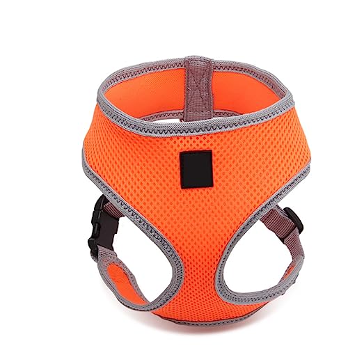 JUMPLAWN Haustier Brustgeschirr Verstellbares Hundegeschirr für für Welpen und Orange mit Metallring zur Leinenbefestigung Atmungsaktiv JUMPLAWN Haustier Brustgeschirr Verstellbares Hundegeschirr für für Welpen und Orange mit Metallring zur Leinenbefestigung Atmungsaktiv von JUMPLAWN