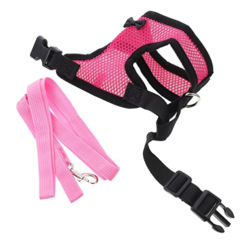 JUMPLAWN Hühnerleine Mit Verstellbarem Geschirr Atmungsaktive Hühnerweste Für Lauftraining Für Hähne Und Gänse Komfortables Und Stylisches Design von JUMPLAWN