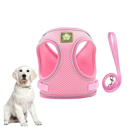 JUMPLAWN Hundewestengeschirr Für Haustiere Atmungsaktiver Brustgurt Mit Reflektierender Leine Xs Für Komfortables Und Sicheres Outdoor Für Kleine von JUMPLAWN