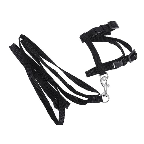 JUMPLAWN Katzenhalsband Mit Leine Für Haustiere Verstellbares Nylon Geschirr Für Katzen Für Ausflüge Und Bequem Haustierzubehör Für Kätzchen von JUMPLAWN