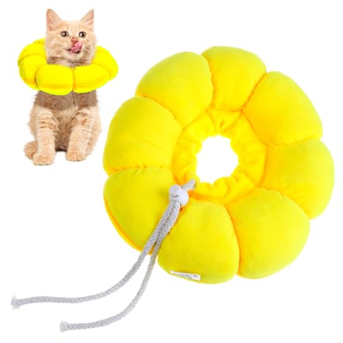 JUMPLAWN Katzenhalsband katzenkragen Katzenhalskragen Katzenhalskrause für Katzen und Kätzchen Katze mit Schleife neugeborenes Kätzchen Katzenkrapfen für Katzen Flaum Yellow JUMPLAWN Katzenhalsband katzenkragen Katzenhalskragen Katzenhalskrause für Katzen und Kätzchen Katze mit Schleife neugeborenes Kätzchen Katzenkrapfen für Katzen Flaum Yellow von JUMPLAWN