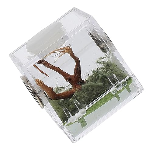 JUMPLAWN Kleine Insekten Fütterungsbox für Reptilien Transparente Acrylbox für Springende Spinnen für Schlangen Skorpione Geckos Kompakte Terrarium Lösung von JUMPLAWN