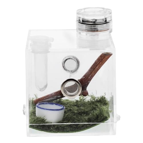 JUMPLAWN Spinnen Lebensraum Kasten für Springspinnen Transparenter Futterbehälter mit Lampe Aufzuchtbox für Kleine Haustiere Geeignet für Terrarien mit Lüftungsloch von JUMPLAWN