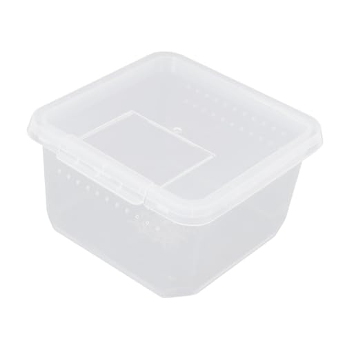 JUMPLAWN Mini Insektenaufzuchtbox Für Spinnen Und Reptilien Transparente Zuchtbox Mit Deckel Für Kakerlaken Und Schnecken Und Outdoor Nutzung von JUMPLAWN