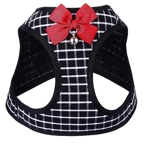 JUMPLAWN Pet Geschirr Set für Kleine Hunde und Katzen Atmungsaktives Brustgeschirr mit Leine Verstellbar und Komfortabel für Outdoor Aktivitäten Schwarz von JUMPLAWN
