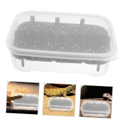 JUMPLAWN Reptilien Brutbox Fächer Lizard Hatching Box Gecko Inkubator Langlebig für Eidechsen Schildkröten Haustier Eier Inkubation Einfach zu Reinigen JUMPLAWN Reptilien Brutbox Fächer Lizard Hatching Box Gecko Inkubator Langlebig für Eidechsen Schildkröten Haustier Eier Inkubation Einfach zu Reinigen von JUMPLAWN
