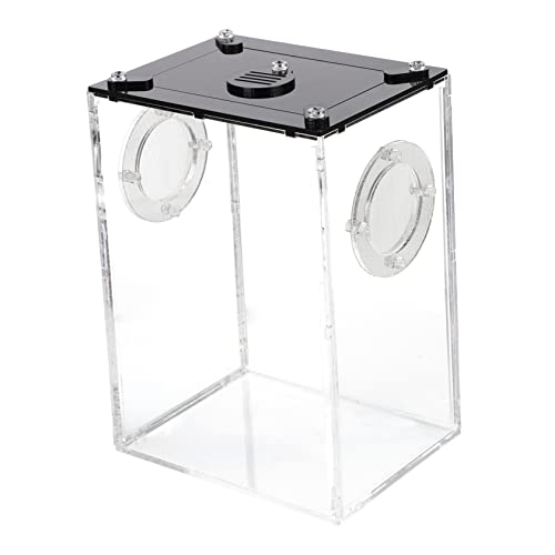 JUMPLAWN Reptilienbox Aus Transparente Fütterungsbox Für Schlangen Geckos Spinnen Und Andere Reptilien Wetterbeständig Für Transport Und Haltung von JUMPLAWN
