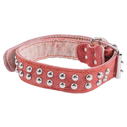 JUMPLAWN Stylisches Hundehalsband aus Weichem Verstellbares Komfortables Halsband für Große für Fotoshootings und Hautfreundlich und Sicher Tägliches und Besondere Anlässe JUMPLAWN Stylisches Hundehalsband aus Weichem Verstellbares Komfortables Halsband für Große für Fotoshootings und Hautfreundlich und Sicher Tägliches und Besondere Anlässe von JUMPLAWN