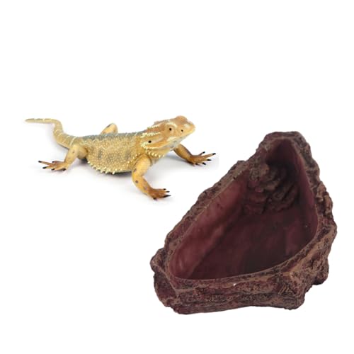 JUMPLAWN Zuchtschale Snack schüssel Reptile Water Basin Fashionable Reptile Bowl Lizard Feeding Bowl Practical Reptile Bowl Chamäleon Essen Futternapf für Reptilien Schale aus Harz JUMPLAWN Zuchtschale Snack schüssel Reptile Water Basin Fashionable Reptile Bowl Lizard Feeding Bowl Practical Reptile Bowl Chamäleon Essen Futternapf für Reptilien Schale aus Harz von JUMPLAWN