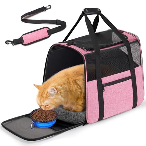 JUNGYOUN Premium Katzentrage - Haustiertragetasche für Katzen & kleine Hunde bis zu 6,8 kg - Fluggesellschaft zugelassene Reise-Hundetragetasche mit Anti-Escape-Reißverschlüssen, faltbarem Reisenapf von JUNGYOON