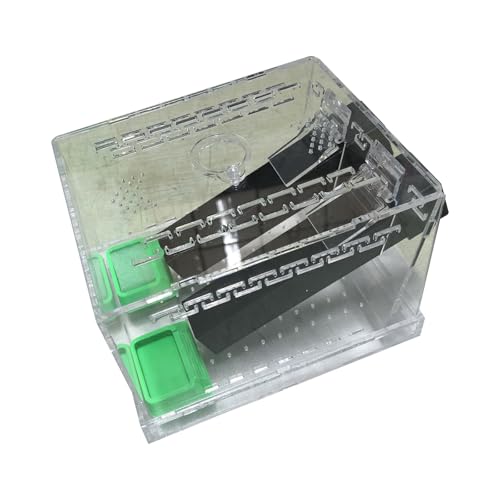 Crickets Zuchtbox Mit Lebensmittelwasserbecken Und Absorbierender Baumwollzüchtung Crickets Zuchtbox Mit Lebensmittelwasserbecken Und Absorbierender Baumwollzüchtung von JUNNASALIKER